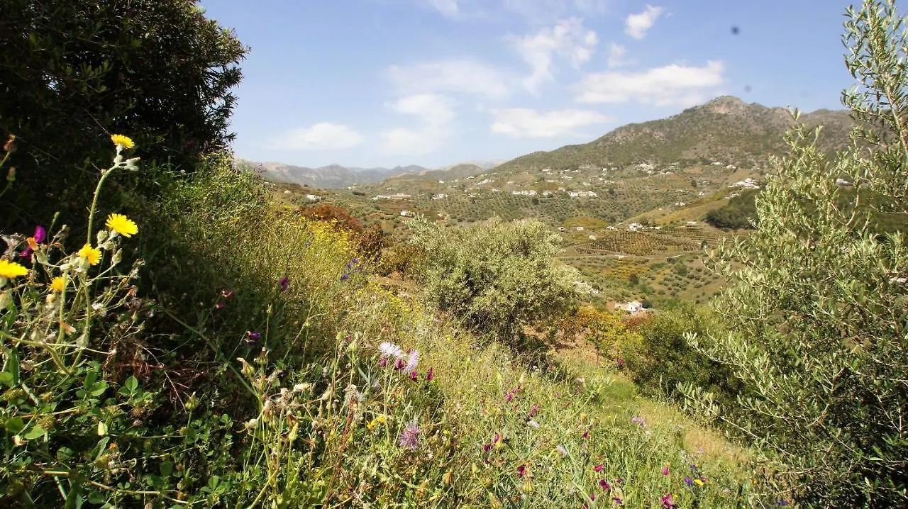 Casa Del Cielo Holiday home Frigiliana Homestay