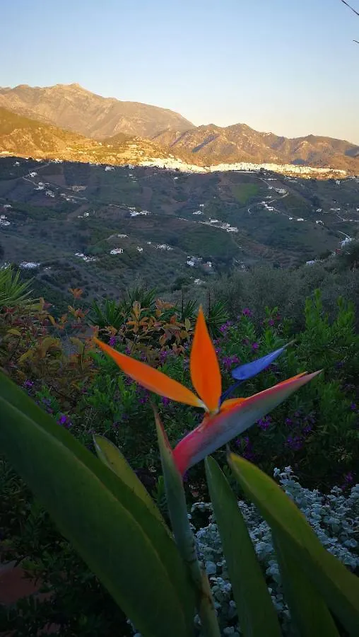 Casa Del Cielo Holiday home Frigiliana Homestay